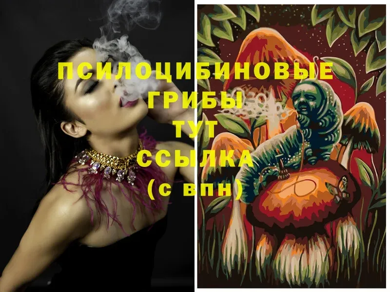 Галлюциногенные грибы Magic Shrooms Олонец